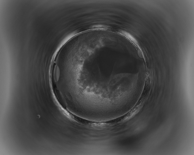 X0000087710859200705041057