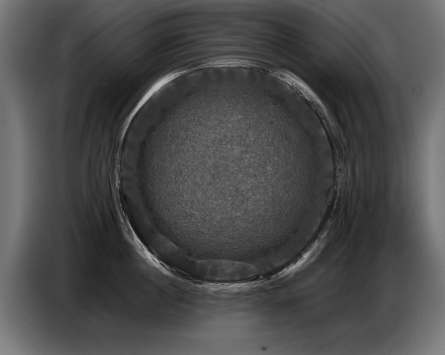 X0000087710860200705041057
