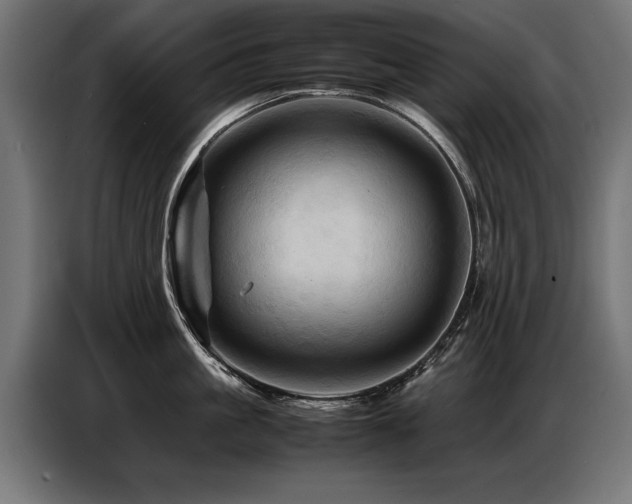X0000087710861200705041057