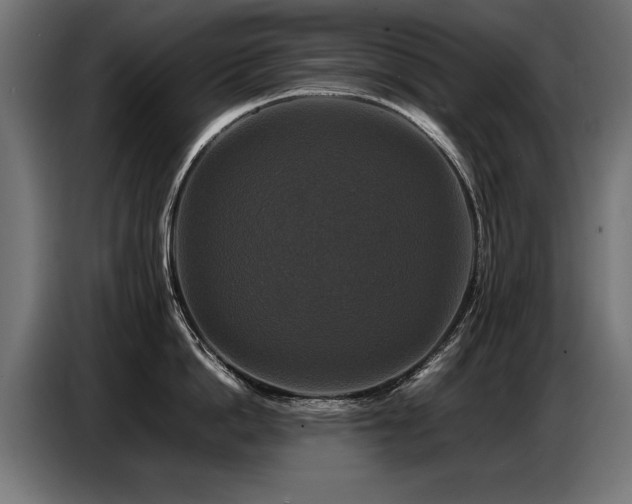 X0000087710862200705041057