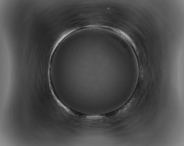 X0000087710863200705041057