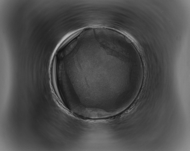 X0000087710864200705041057