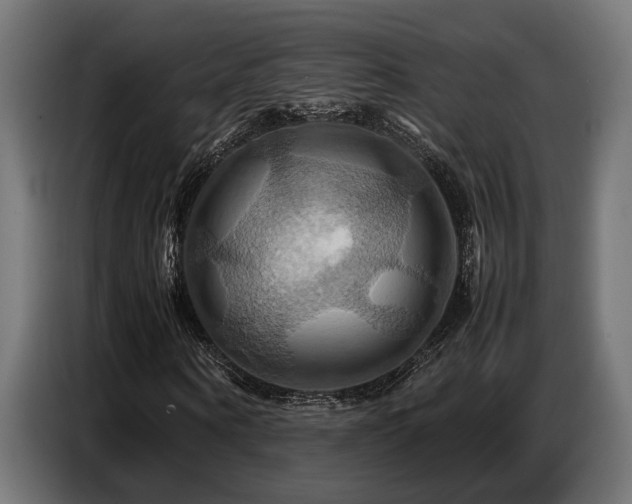 X0000087710866200705041056