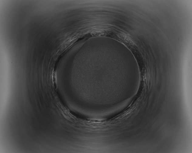 X0000087710868200705041056