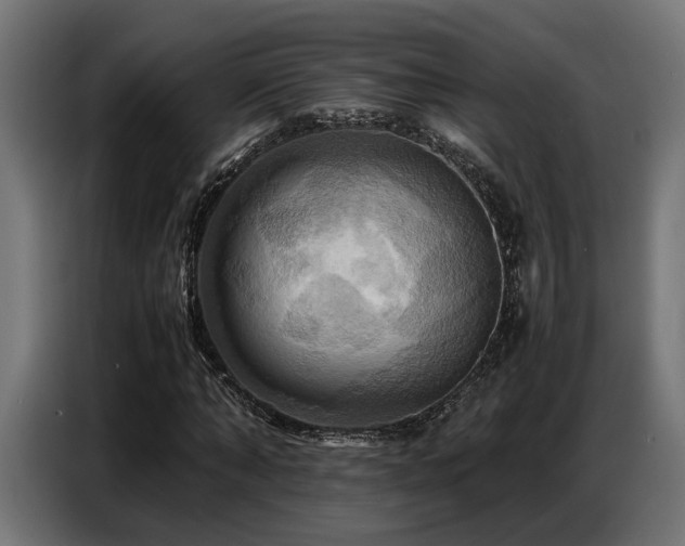 X0000087710870200705041056