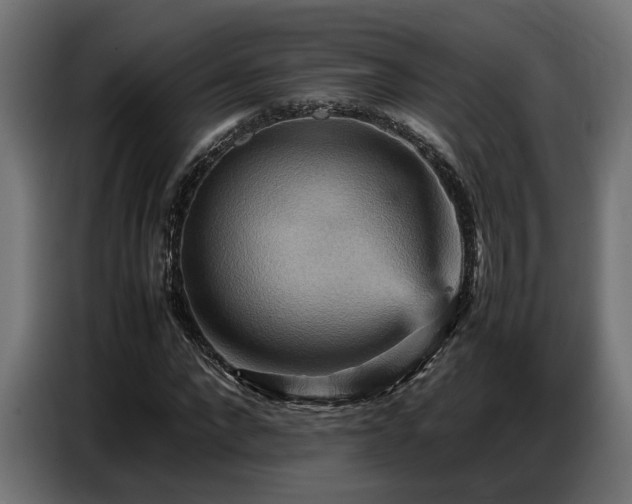 X0000087710872200705041056