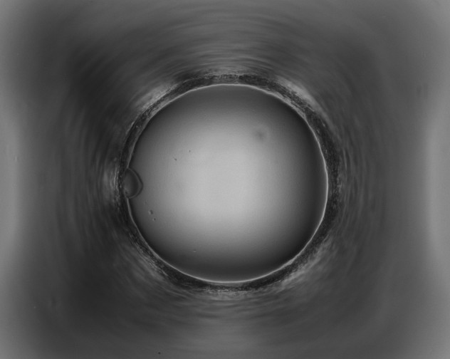 X0000087710873200705041056
