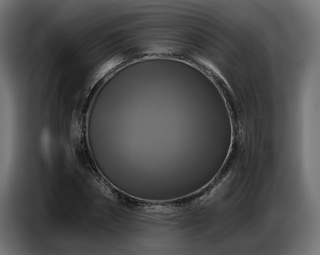 X0000087710874200705041056