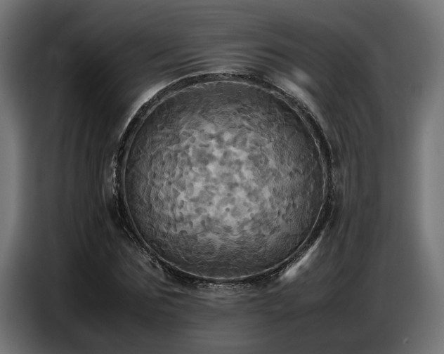 X0000087710875200705041056