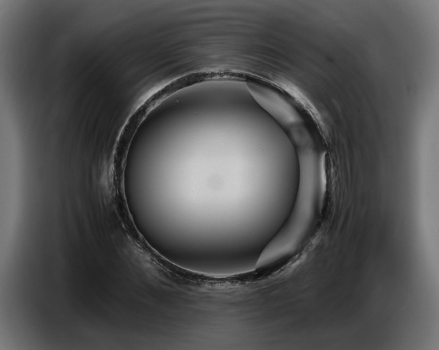 X0000087710876200705041056