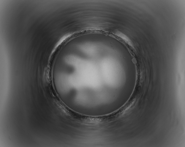 X0000087710878200705041056