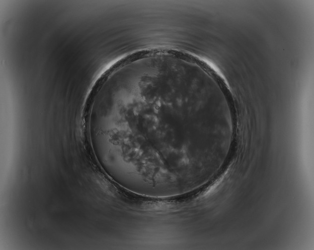 X0000087710879200705041056