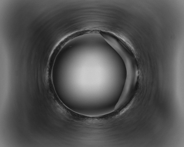 X0000087710880200705041056