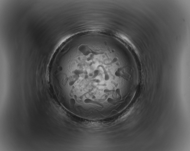 X0000087710883200705041056