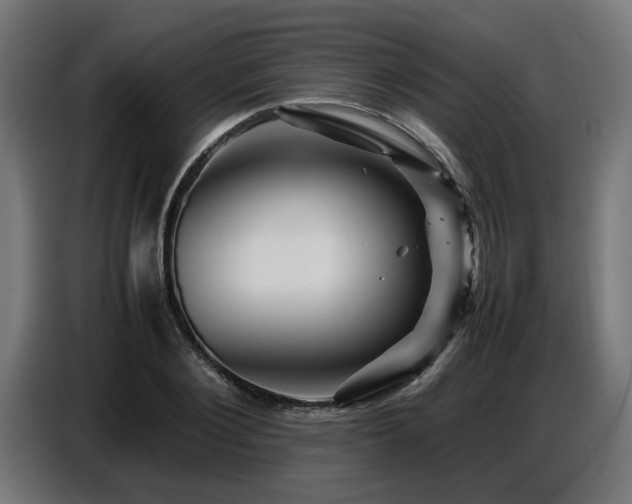 X0000087710884200705041056