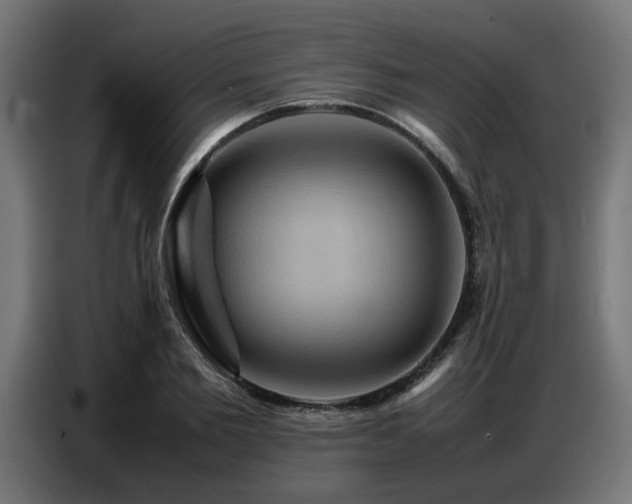 X0000087710885200705041056