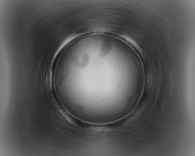 X0000087710886200705041056