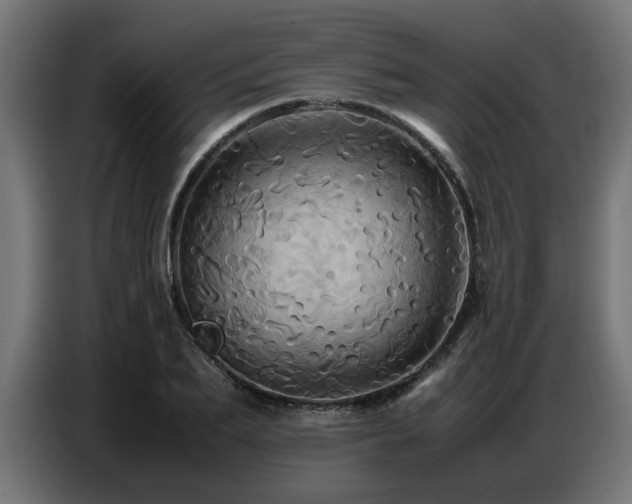 X0000087710887200705041056
