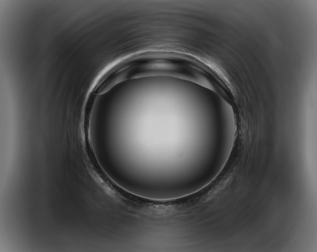 X0000087710888200705041056