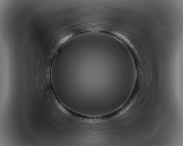X0000087710889200705041056