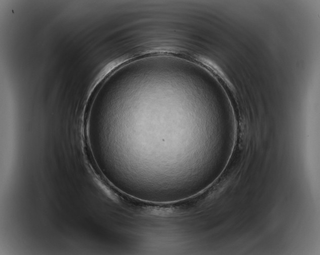 X0000087710890200705041056