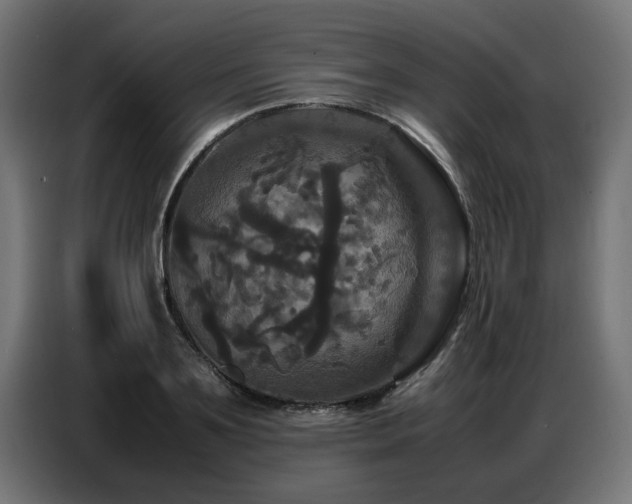 X0000087710891200705041056