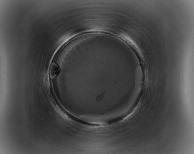 X0000087710892200705041056