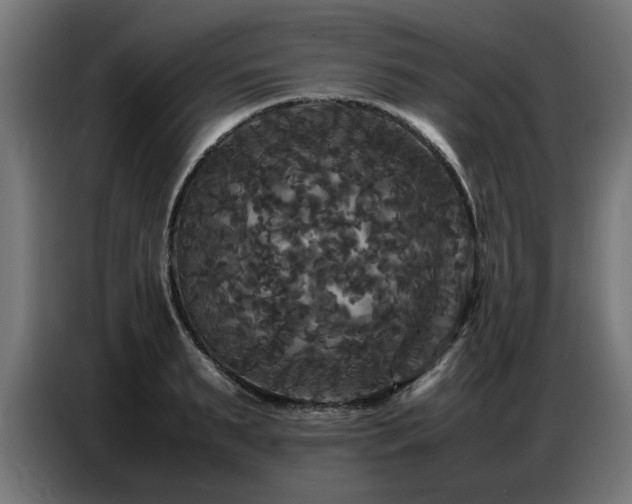 X0000087710895200705041056