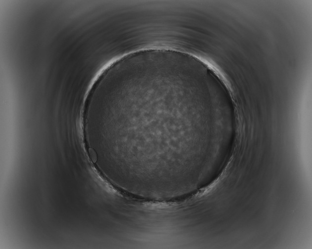 X0000087710896200705041056