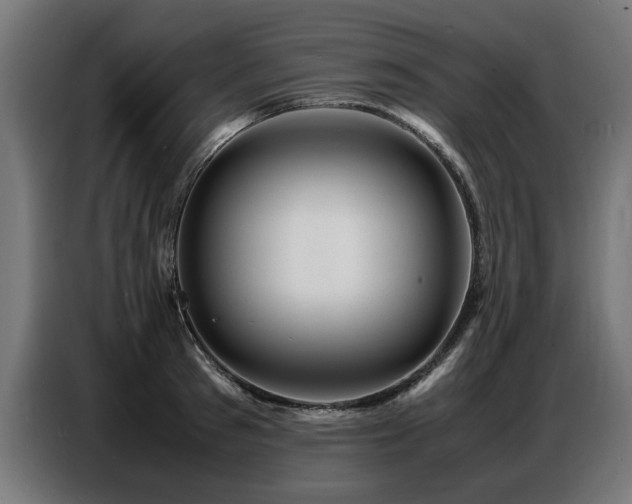 X0000087710897200705041056