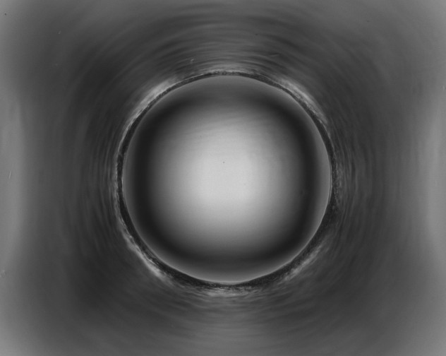 X0000087710898200705041056