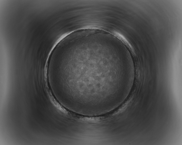 X0000087710900200705041056