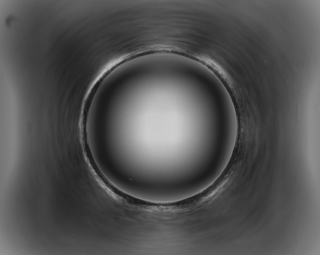 X0000087710902200705041056