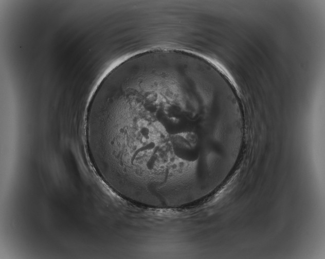 X0000087710903200705041056