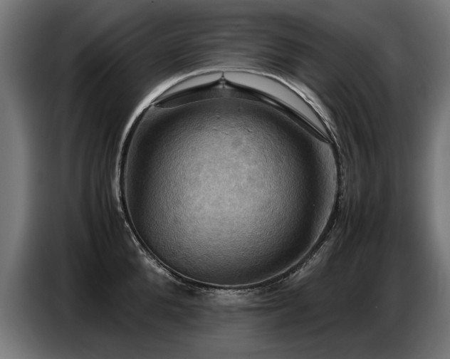 X0000087710904200705041056