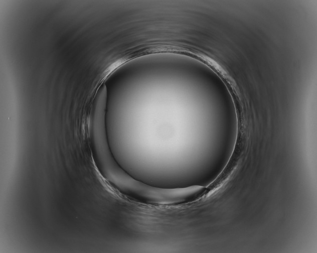 X0000087710905200705041056