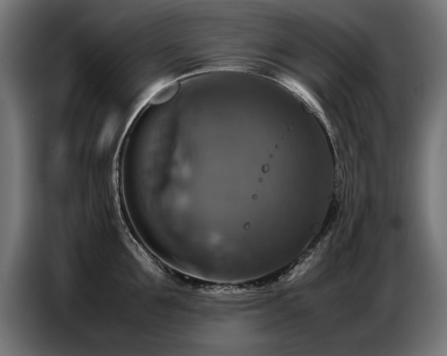 X0000087710907200705041056