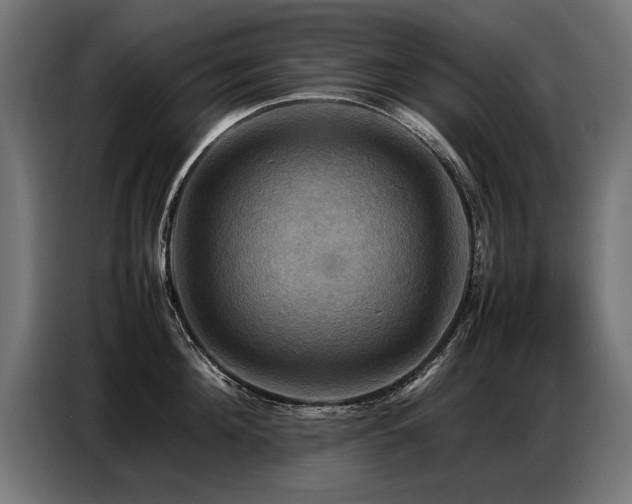 X0000087710908200705041056