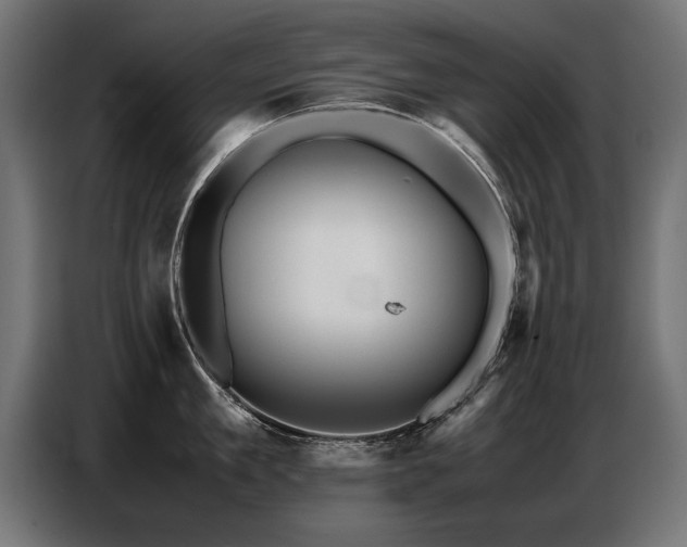 X0000087710909200705041056