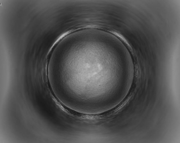 X0000087710910200705041056