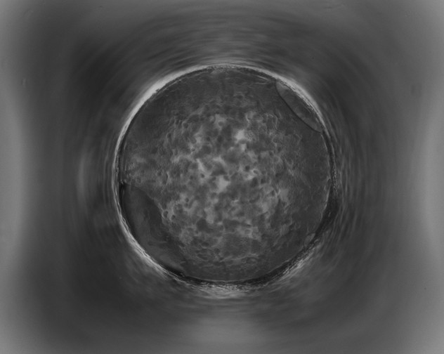 X0000087710911200705041056