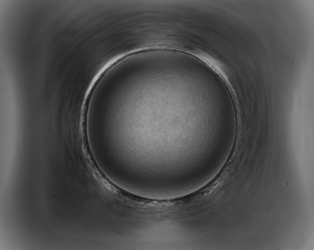 X0000087710912200705041056