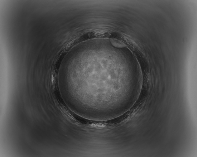 X0000087710914200705041055
