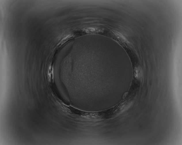 X0000087710915200705041055