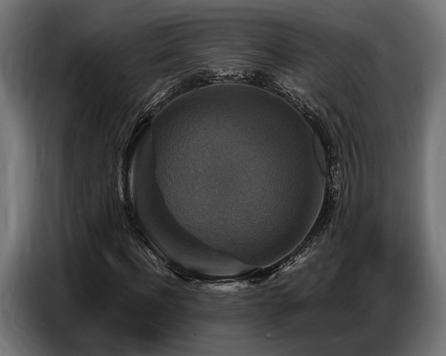 X0000087710916200705041055
