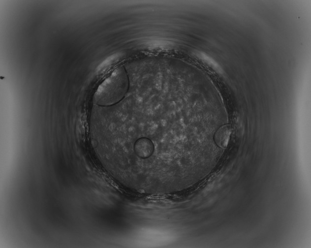 X0000087710918200705041055