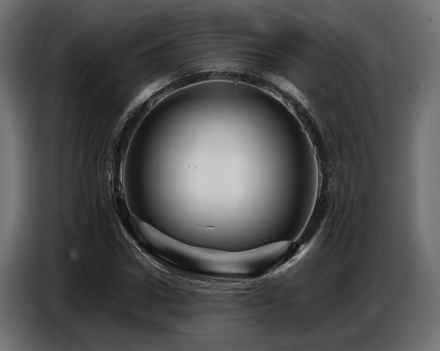 X0000087710922200705041055