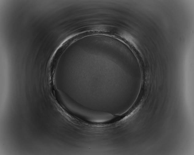 X0000087710923200705041055