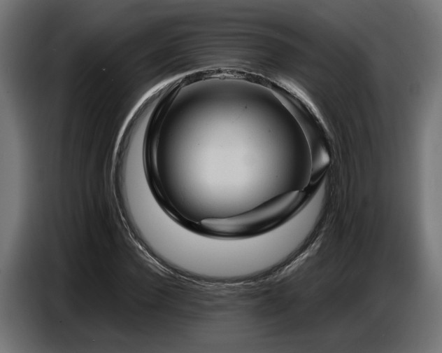 X0000087710924200705041055