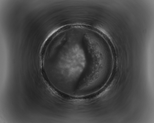 X0000087710925200705041055